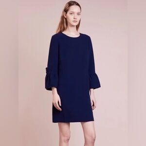 Navy Ruffle Sleeve Dress